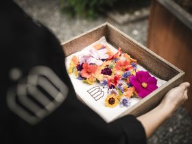 Urlaub in den Bergen inkl. Halbpension in Osttirol | 7 Nächte