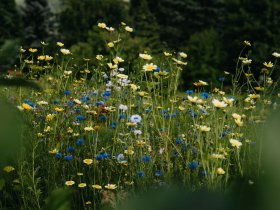Urlaub in den Bergen inkl. Halbpension in Osttirol | 7 Nächte