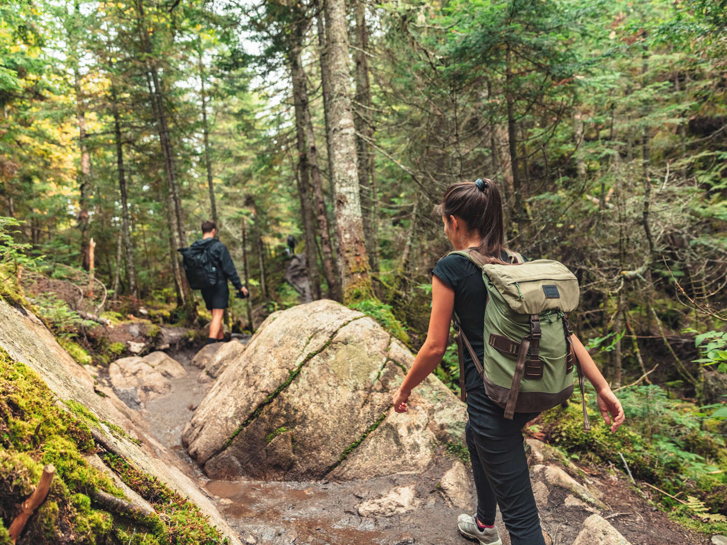 Wanderurlaub in Osttirol inkl. Frühstück | 5 Nächte