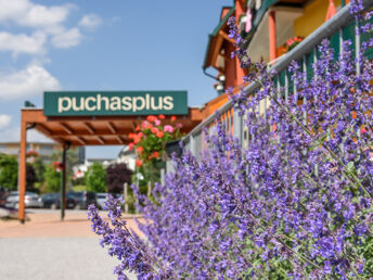 Thermenurlaub in Stegersbach | 2 Nächte inkl. Therme