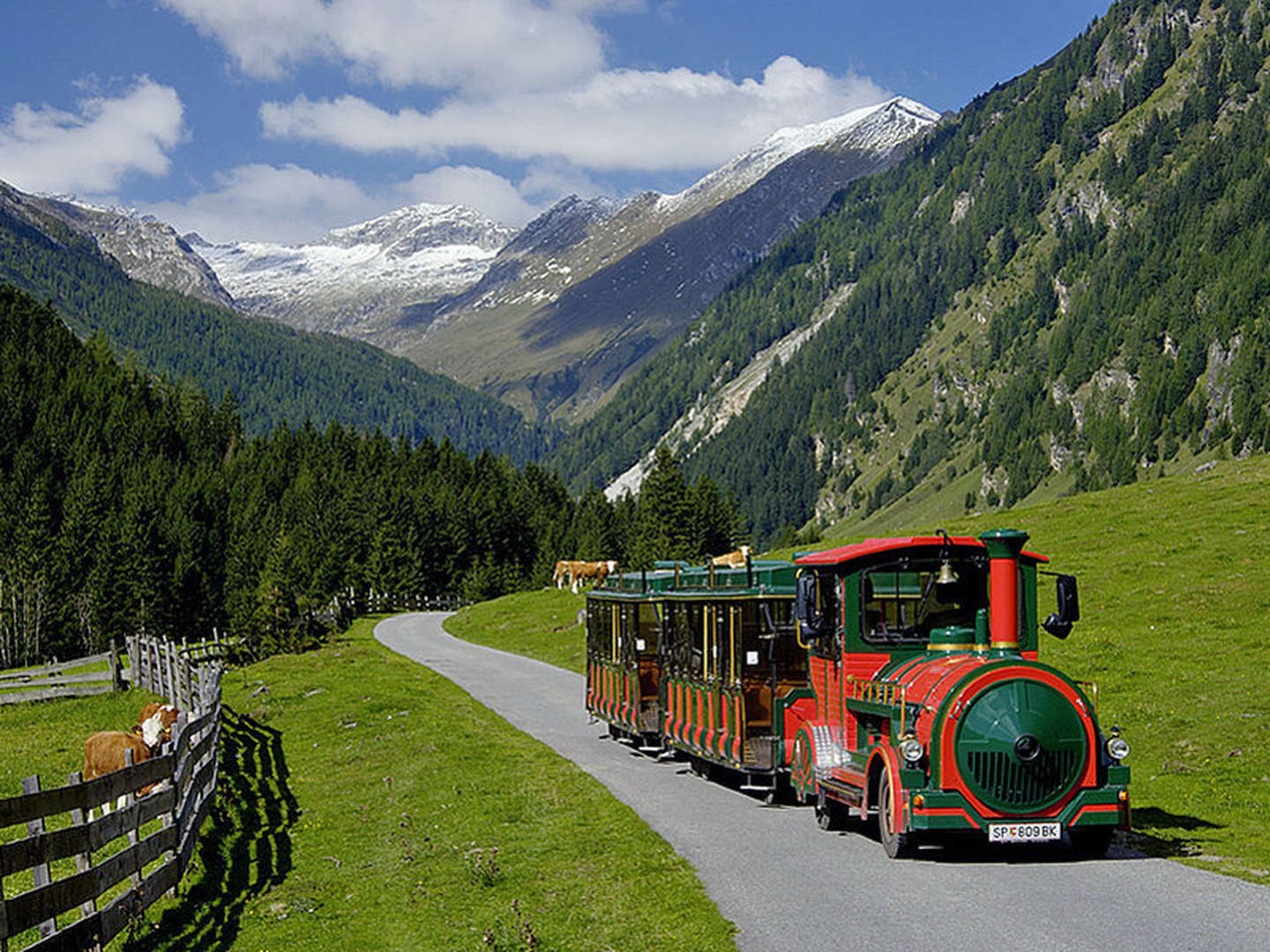 Natur-Entdecker-Erlebnistage inkl. E-TschuTschuBahn & Ponyreiten am Katschberg | 4 Nächte  