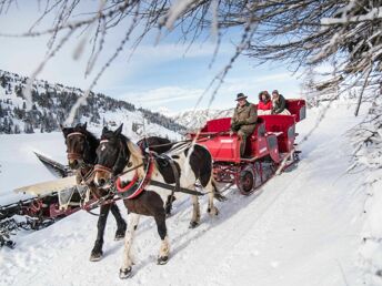 Natur-Entdecker-Erlebnistage inkl. E-TschuTschuBahn & Ponyreiten am Katschberg | 4 Nächte  