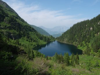 Sommer, Sonne, Berge | 3 Nächte Wanderurlaub bei Schladming inkl. Sommercard für viele Ermäßigungen