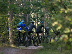 Erholungsurlaub - Auszeit im Singlehotel in Oberösterreich | 1 Nacht