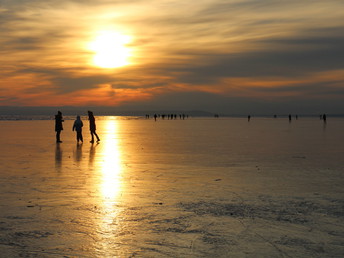 Bunter Herbst am Neusiedler See | 4 Tage inkl. Leihfahrrad