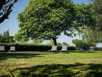 Bunter Herbst am Neusiedler See | 4 Tage inkl. Leihfahrrad