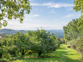 Sonntagszuckerl mit Wellness & Allzeit-BIO-Genuss in der Oststeiermark inkl. 4-Gang Menü | 1 Nacht