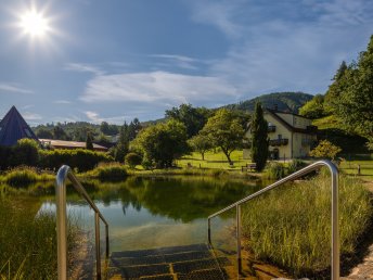 Romantische Tage in der Wachau inkl. 4-Gang-Dinner | 2 Nächte
