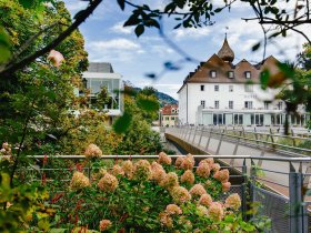Schloss Romantik im Mostviertel inkl. 4-Gang-Candle-Light-Dinner & Blumenstrauß