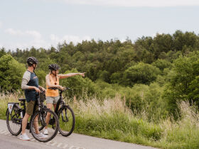 Urlaub mit Hund im Südburgenland | 5 Tage 4 Nächte |inkl. Halbpension | Hundefreundliches Hotel 