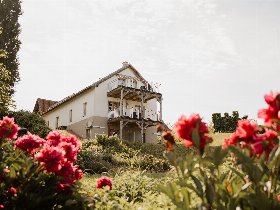 Urlaub mit Hund im Südburgenland | 5 Tage 4 Nächte |inkl. Halbpension | Hundefreundliches Hotel 