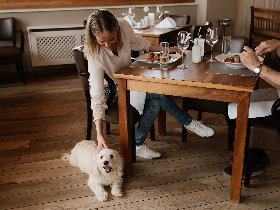 Urlaub mit Hund im Südburgenland | 5 Tage 4 Nächte |inkl. Halbpension | Hundefreundliches Hotel 