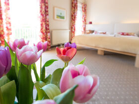 Urlaub mit Hund im Südburgenland | 5 Tage 4 Nächte |inkl. Halbpension | Hundefreundliches Hotel 