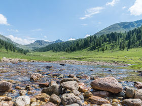 Nockberge Natur pur inkl. Kärnten Card & Bergbahn & Badestrand Millstätter See | 4 Nächte