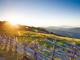 Wild, Wein, Advent im Landhotel im oststeirischen Almenland | 1 Nacht
