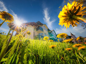 Wild, Wein, Advent im Landhotel im oststeirischen Almenland | 1 Nacht