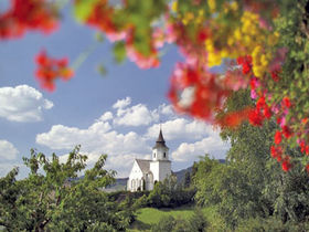 Wild, Wein, Advent im Landhotel im oststeirischen Almenland | 1 Nacht