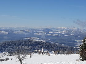 Wild, Wein, Advent im Landhotel im oststeirischen Almenland | 1 Nacht