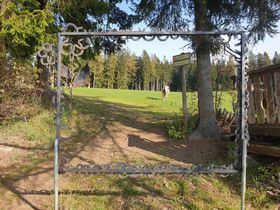 Wild, Wein, Advent im Landhotel im oststeirischen Almenland | 1 Nacht