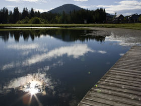 Wild, Wein, Advent im Landhotel im oststeirischen Almenland | 1 Nacht