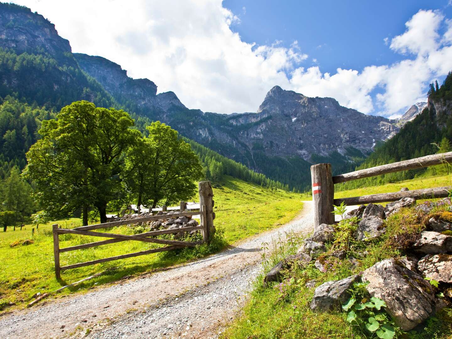 Aktivurlaub in den Bergen - Sommergenuss im Salzburger Land | 3 Nächte