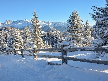 Winterlicher Genuss - Salzburg von der schönsten Seite erleben | 5 Nächte  