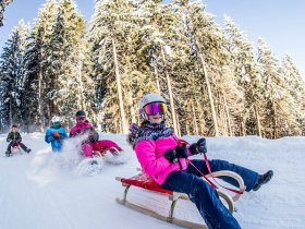 Zillertal - Skiwoche mit Skipass | 7 Nächte