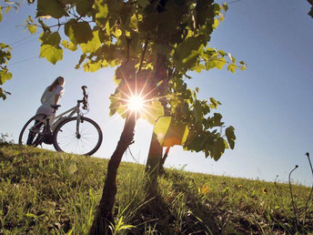 Romantik für Zwei in Loipersdorf inkl. Rosenblütenbad u.v.m.