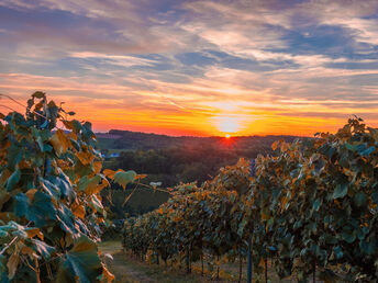 8 Tage Auszeit im steirischen Panoramahof Loipersdorf inkl. Eintritt in das Fitnessstudio