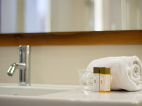 Städtetrip nach Graz mit Ihrem Vierbeiner inkl. Frühstück | ohne zusätzlicher Hundegebühr | 4 Nächte