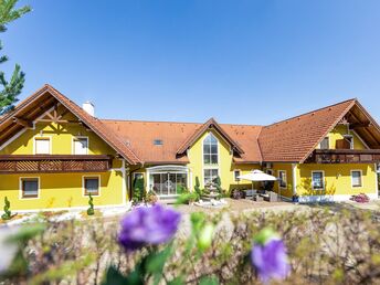 Radurlaub in der Steiermark mit Lunchpaket & Flasche Wein | 3 Nächte