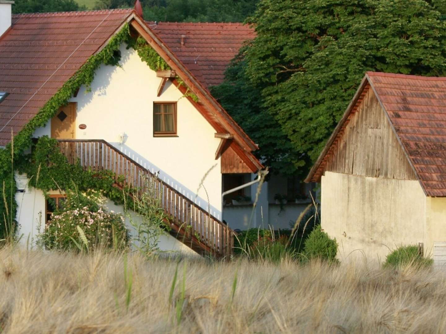 Auszeit im Südburgenland inkl. Burgenland Card  | 2 Nächte