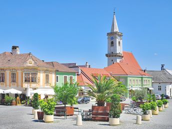 Sonntag Special am Neusiedler See 