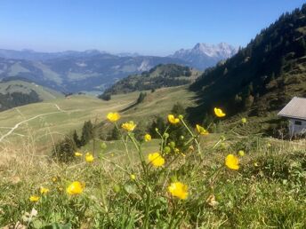 Auszeit in den Kitzbüheler Alpen | 4 Nächte mit Halbpension