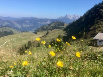 Auszeit in den Kitzbüheler Alpen inkl. Halbpension | 5 Nächte 