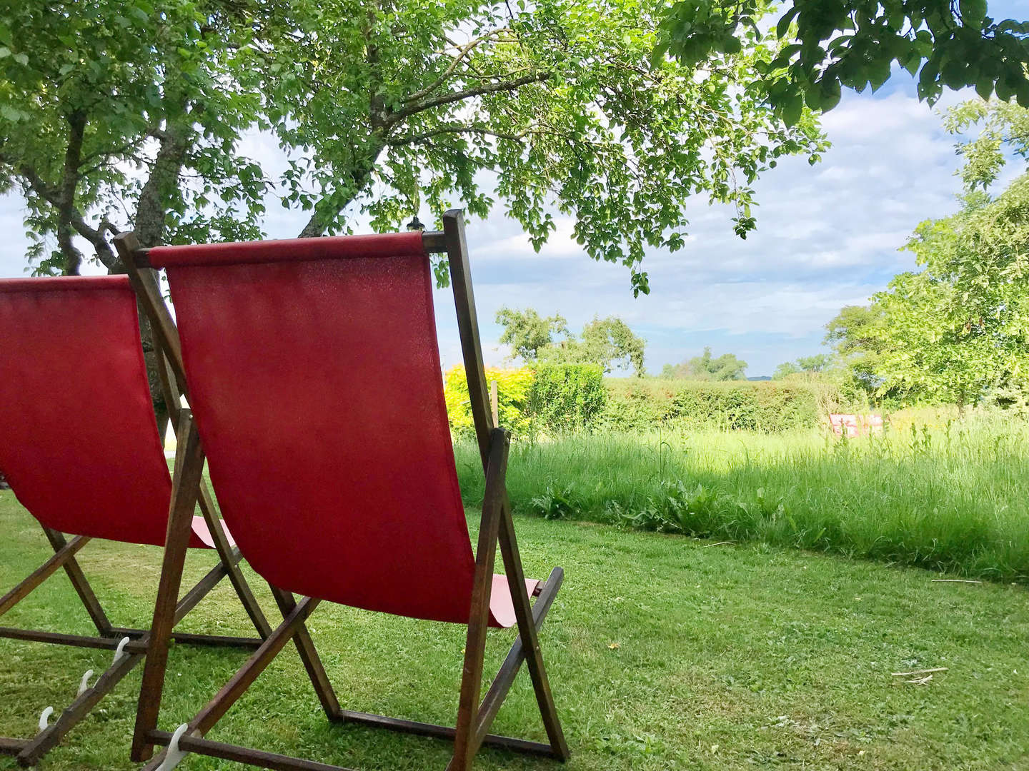 Gansltage im Südburgenland | inkl. Weide Gansl Essen