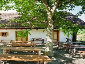 Advent in der Kellergasse Heiligenbrunn 3 Nächte, Dinner, heisser Aperol, Transfer uvm.  