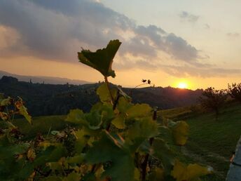 Sonntag-Special - dein Kurzurlaub in der Steiermark zum Vorteilspreis