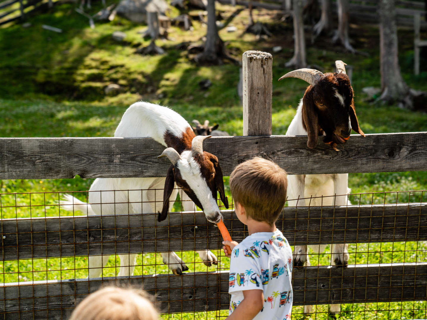 Tradition & Natur Pur in den Schladminger Bergen | 5 Tage  inkl. Halbpension   