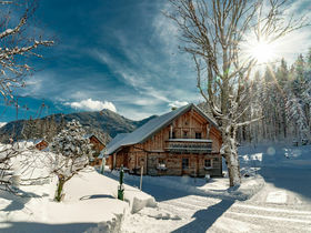 Frühling auf der Alm 4=3 | 4 Nächte zum Preis von 3 in den Schladminger Bergen