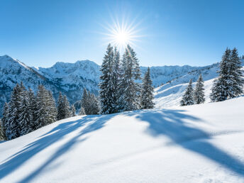 Ski in - Ski out im adults only Hotel in Schladming 