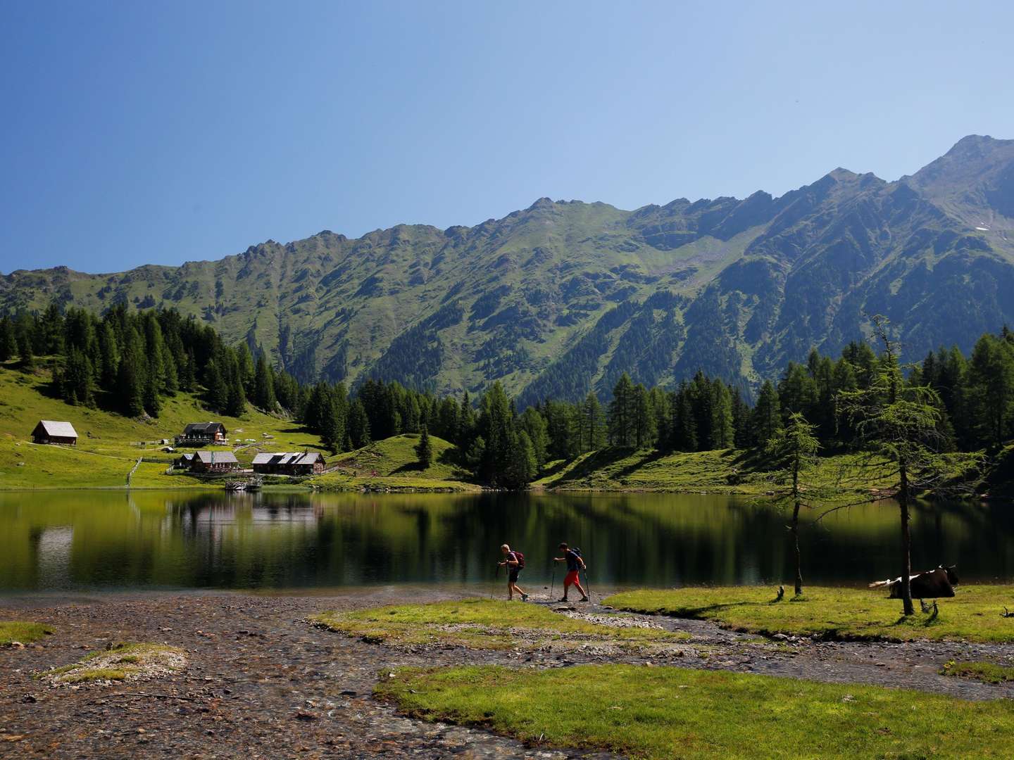 Sommertage in Schladming genießen | 4 Tage inkl. Frühstück & Sommercard 