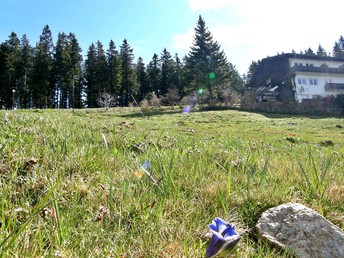 Raus in die Natur - Auszeit auf der Alm in Kärnten| 6 Nächte