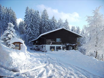 Natur pur - Energietanken auf der Alm in Kärnten | 4 Nächte