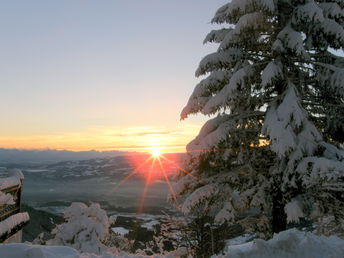 Natur pur - Energietanken auf der Alm in Kärnten | 4 Nächte