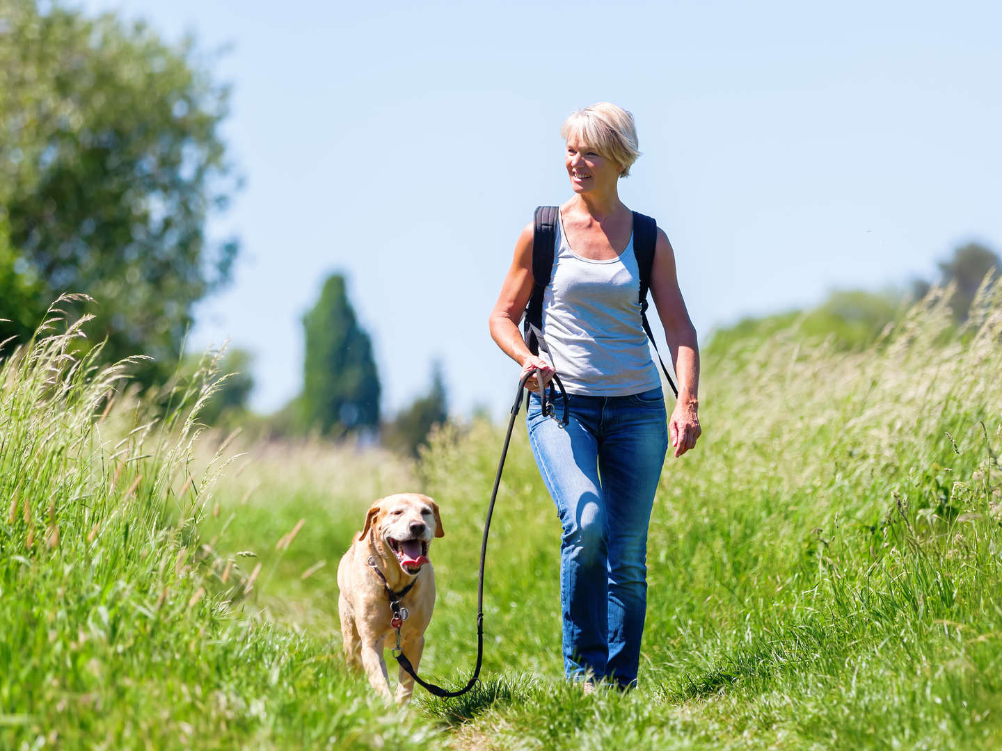 Urlaub mit Ihrem treuen Begleiter im Südburgenland | Ihr Hund nächtigt kostenlos