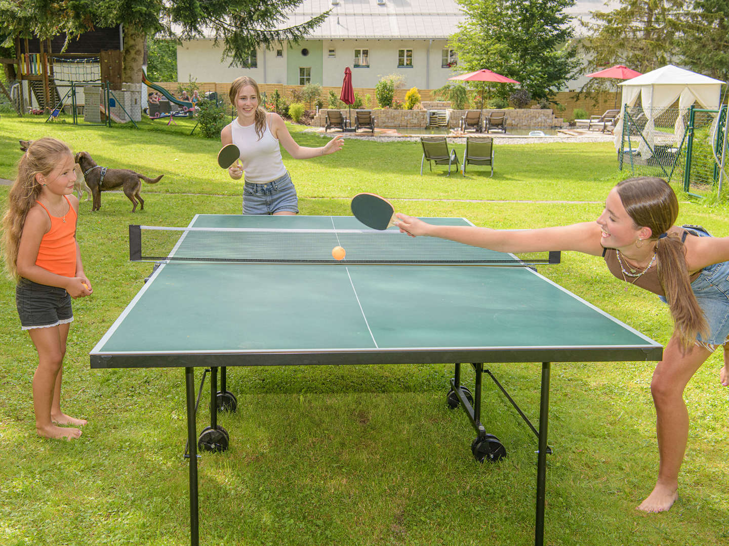 Urlaub mit Hund inkl. Dogsitting in den Gasteiner Bergen | 6 Nächte 