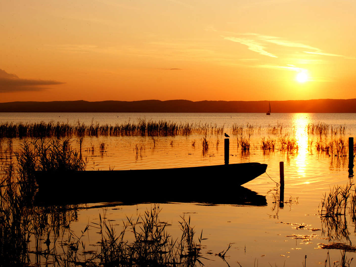 4=3 Special | Erholungsurlaub im Burgenland nahe des Neusiedler Sees