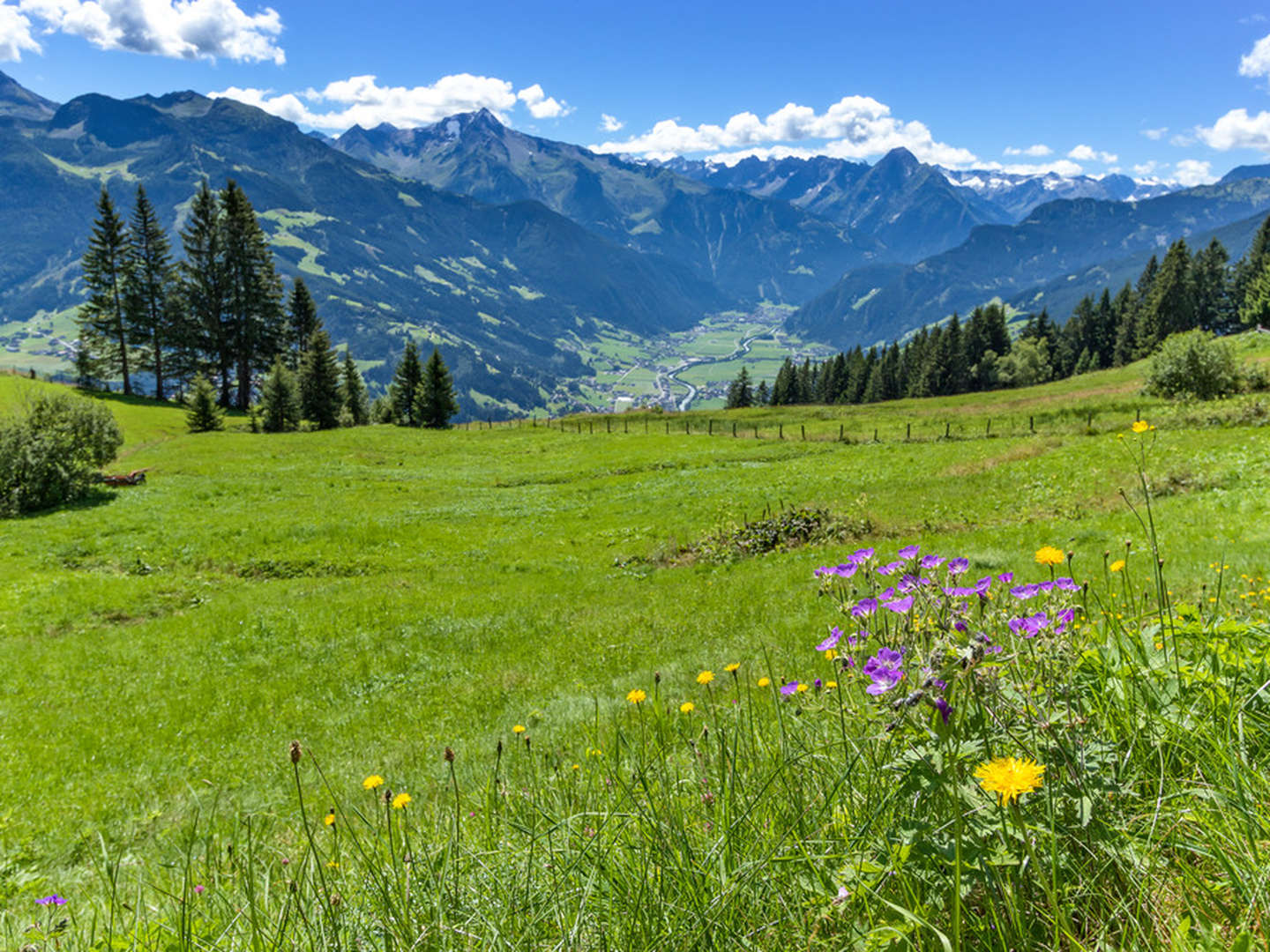 Die Berge Tirols entdecken - Auszeit im Zillertal inkl. 6-Gang Menü | 6 Nächte