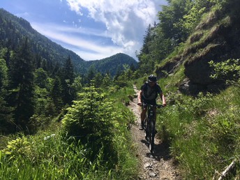 Natur pur - kurze Auszeit im Salzburger Saalachtal | 7 Nächte